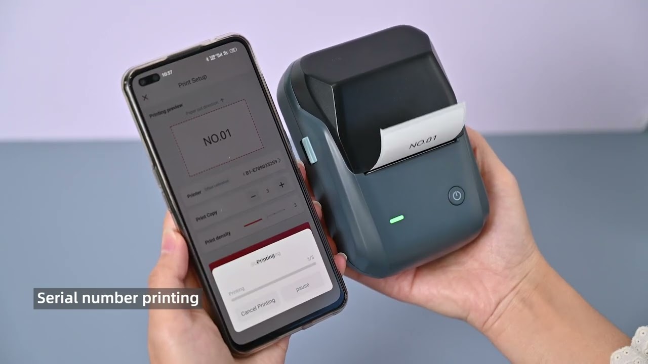 Niimbot B1 Smart Thermal Printer