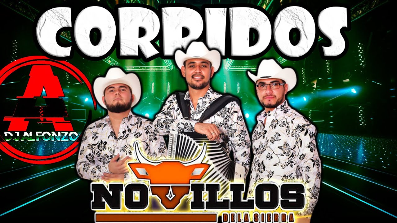 Corridos Mix 🔥 LOS NOVILLOS DE LA SIERRA 🔥 DjAlfonzo