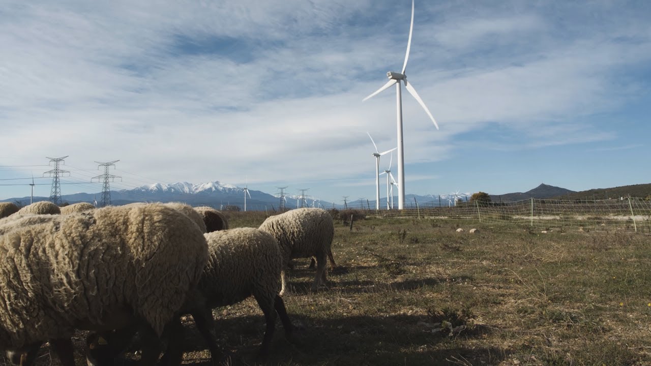 EDF power solutions - Présentation de notre implantation en Occitanie