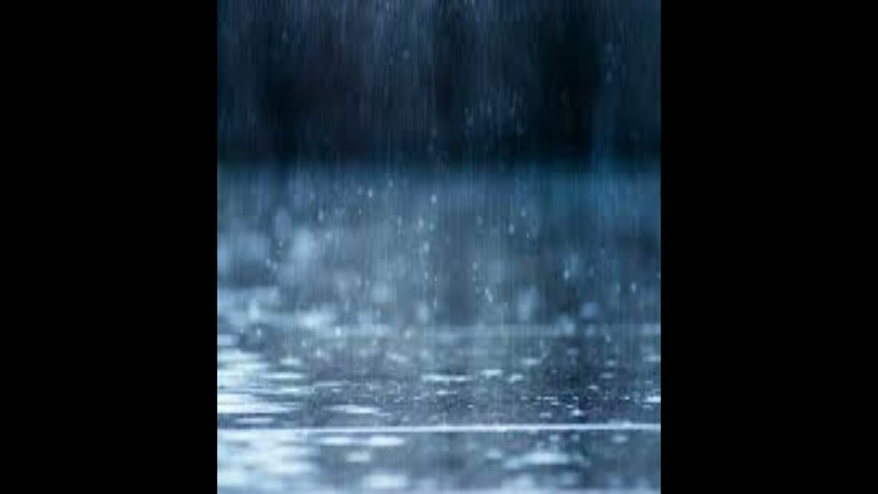 [FREE] sampled bouncy x xaviersobased type beat - 