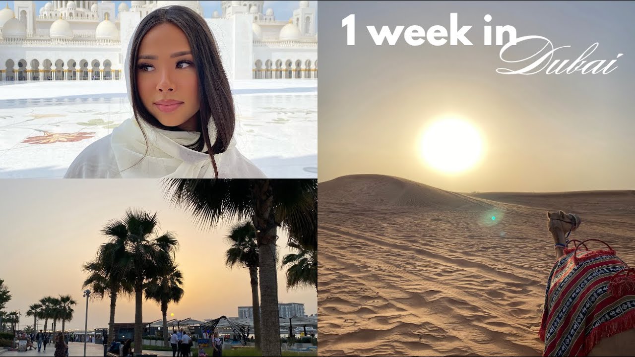 dubai weekly vlog l burj khalifa, desert safari, abu dhabi