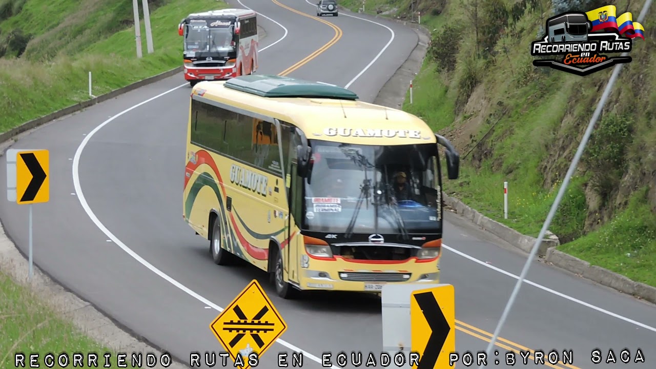 Buses en carretera