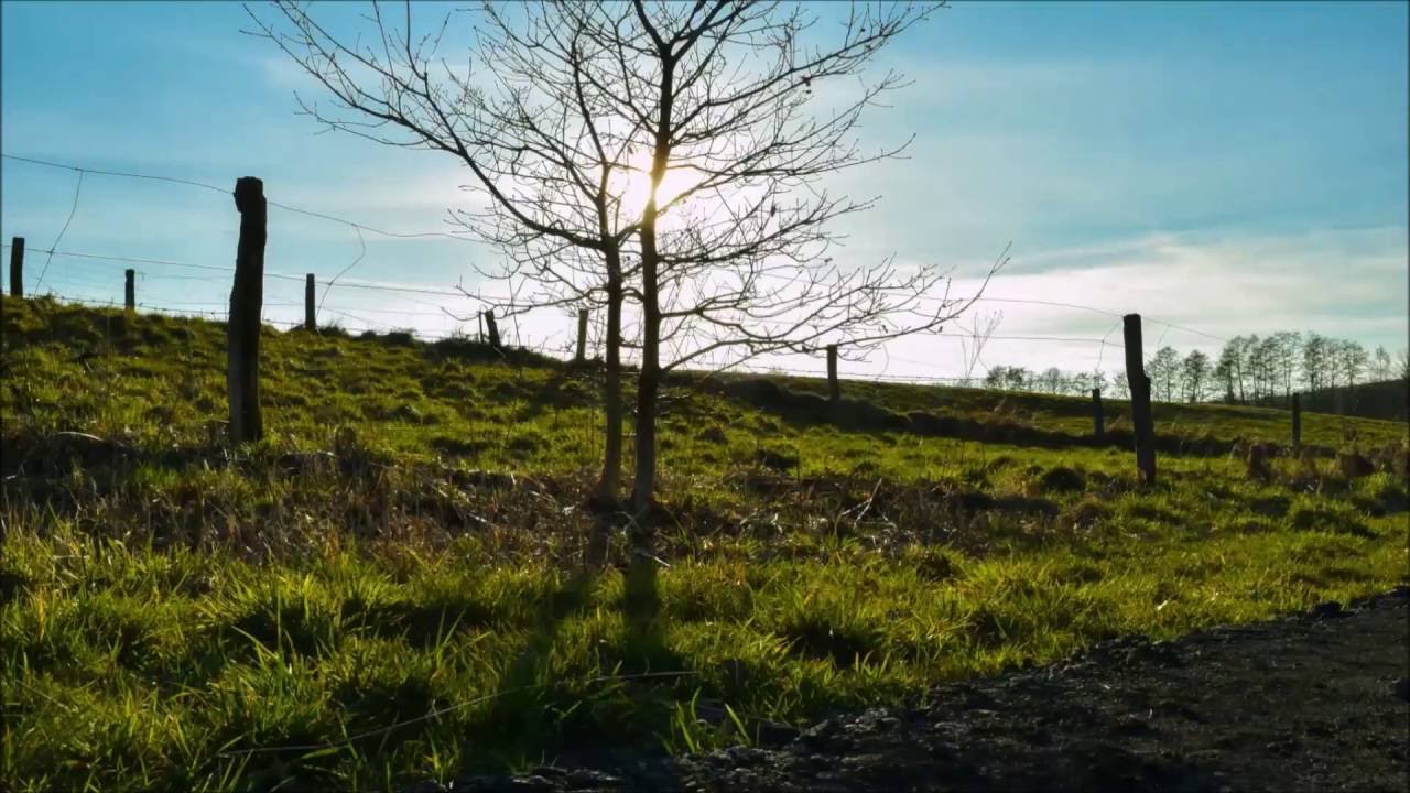 One Day in Schwalmtal