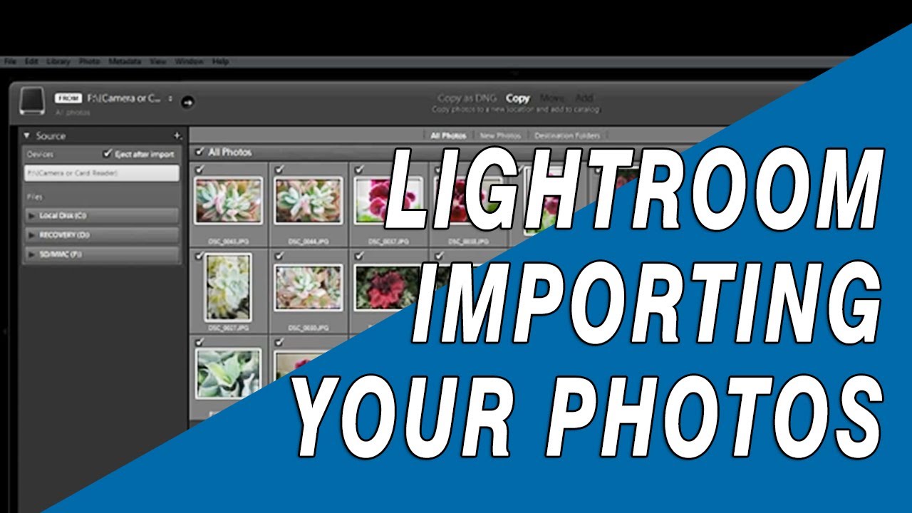 Lightroom Beginners Tutorial - Learn How to Import Photos into Lightroom