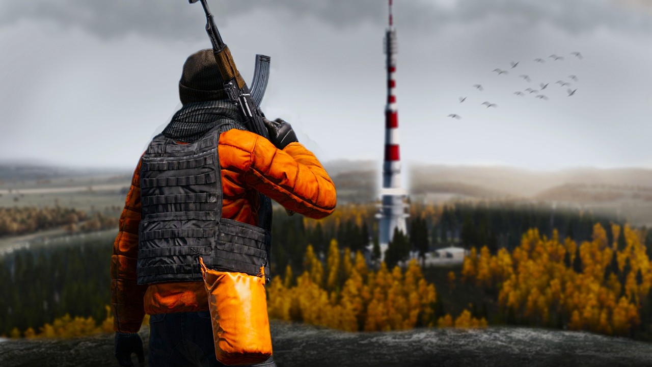 This Is Why DayZ Is Better Solo
