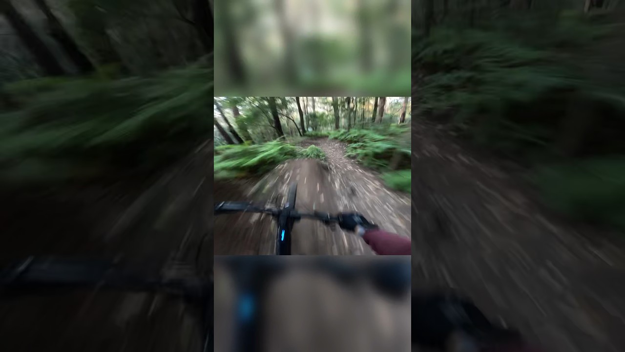 🐠 🚴‍♀️Mullet Kenevo, faster than a 27.5”?? 