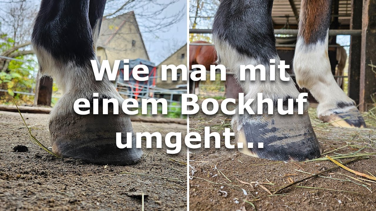 Was ein Bockhuf ist und wie man damit umgeht