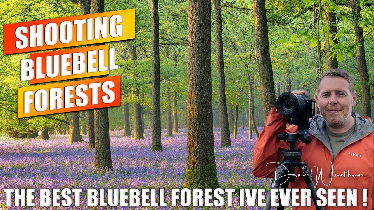 Photographing Bluebells | Landscape Photography | Dorset | Bluebell Forests