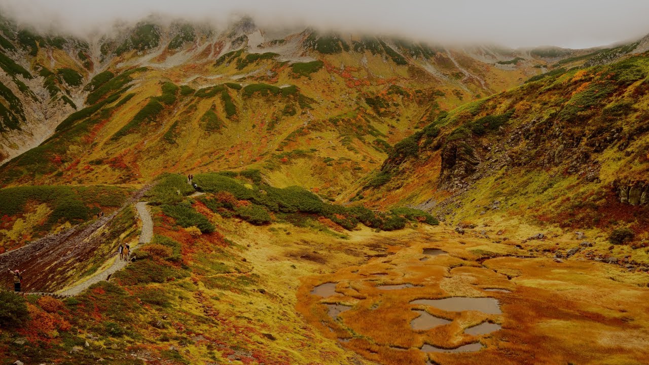 立山室堂の紅葉 2025年10月1日 Murodou Tateyama Kurobe-dam in Toyama and Nagano kouyou autumn leaves 2025 4KASMR