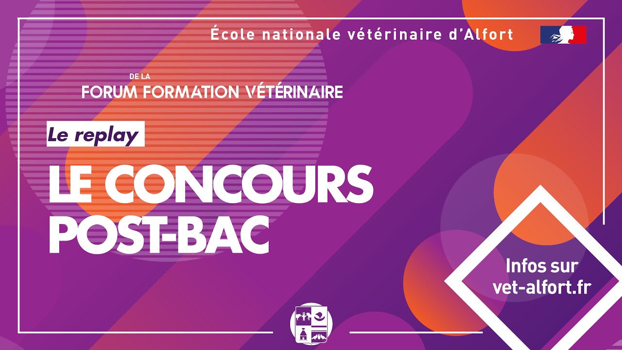 Conférence FFVET23  La voie post bac - la première année