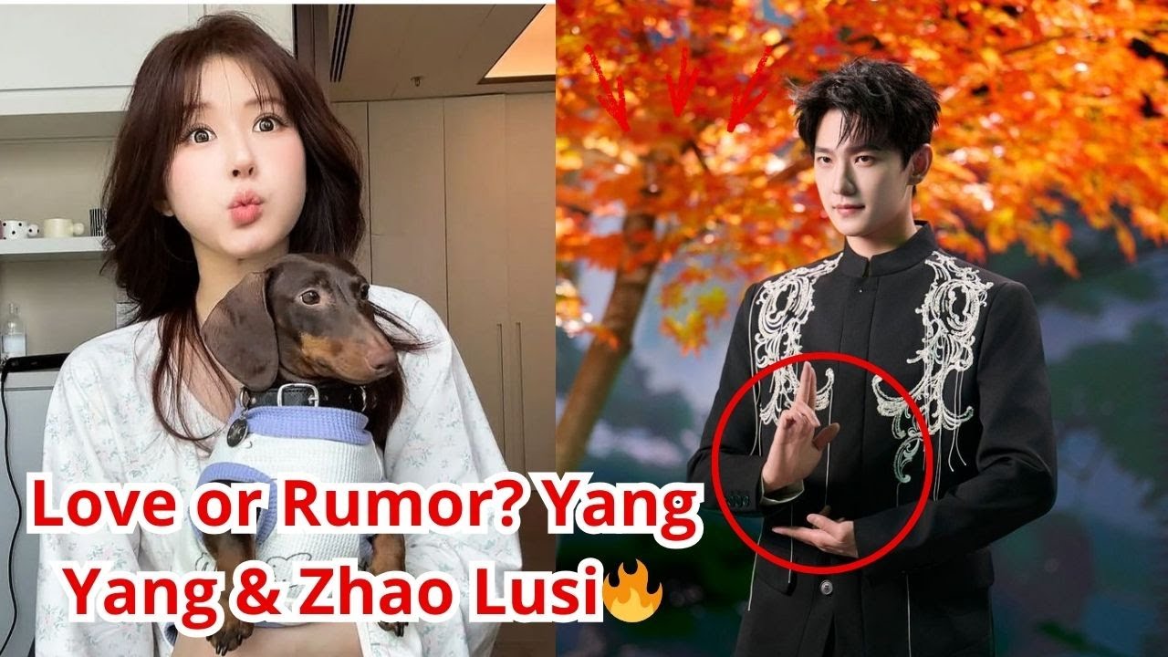 🔥 Breaking News! Yang Yang’s Agency CONFIRMS Something Extraordinary About Zhao Lusi!