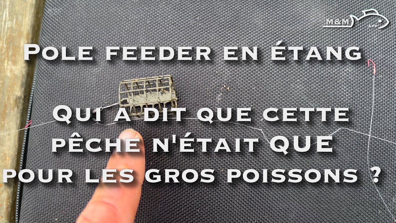 POLE FEEDER en étang, l'élastique sort pour des CARASSINs, TANCHES et POISSONS BLANCS.