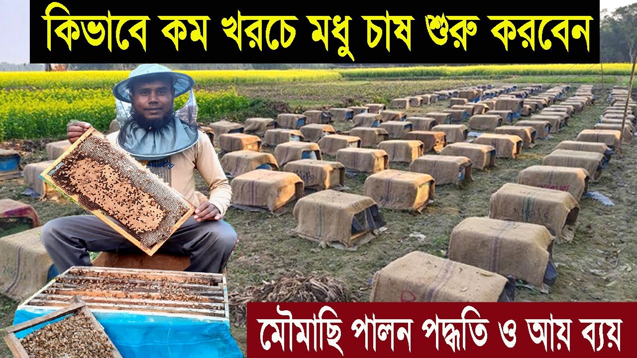 মৌমাছি চাষ পদ্ধতি ও আয় ব্যয় - মধু চাষ করে ১৫০০০০ টাকা আয় ১৫ টি বাক্স থেকে - Honey Bee Farm