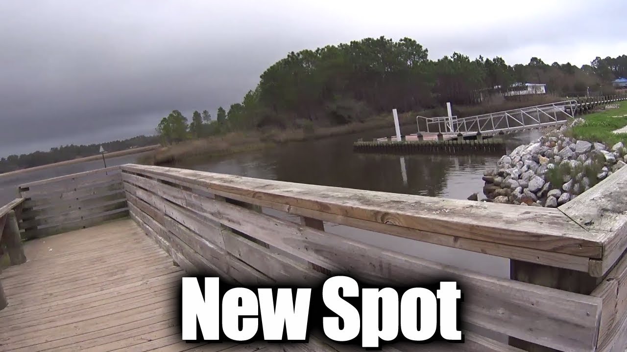 Fishing From The Pier at a New Spot - Drop Shot Fishing with Shrimp