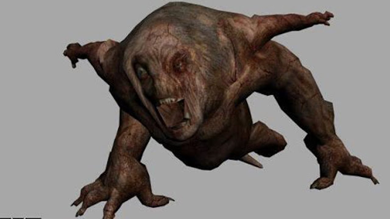 Мурзик | S.T.A.L.K.E.R. ПО СЕТИ