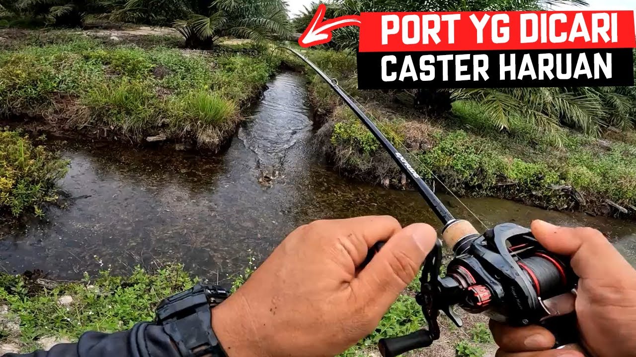 BEST MANCING HARUAN DKT PORT MCM NI