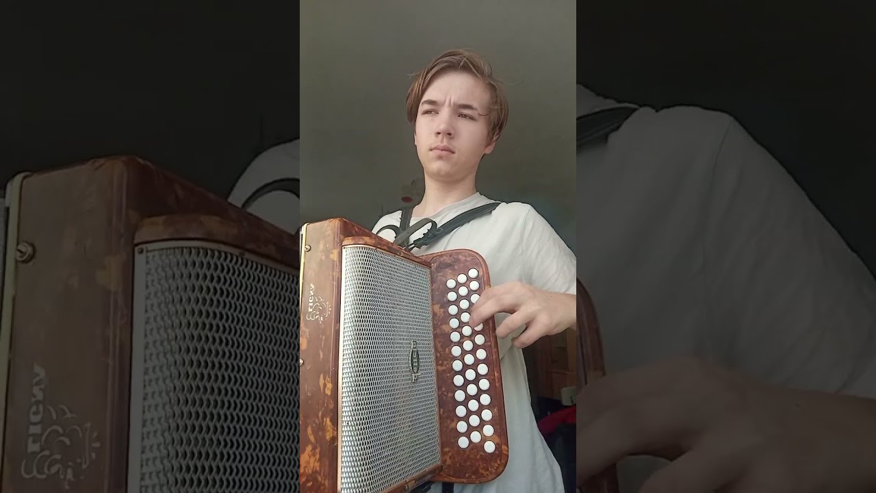 škoda lásky + mezihra |polka| heligonka BEsAs + zpěv