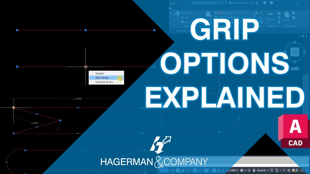 AutoCAD ALL Grip Options Explained