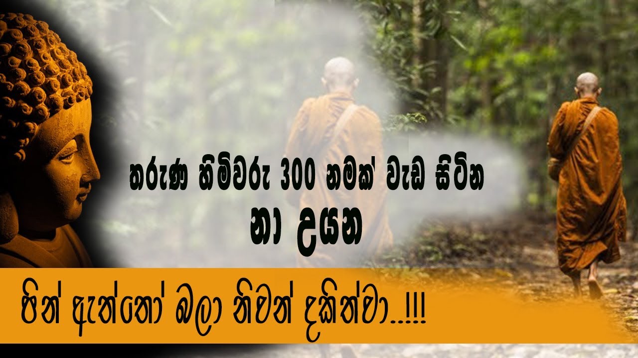 තරුණ හිමිවරු 300 ක් නමක් වැඩ සිටින නා උයන..පින් ඇත්තෝ බලා නිවන් දකිත්වා..!!!