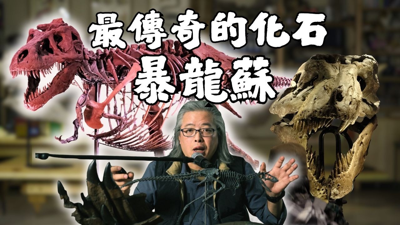 挖到暴龍卻爆發法律戰，最後還賣破世界紀錄？