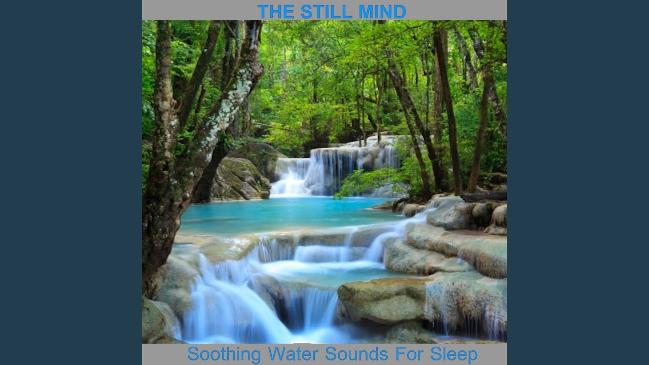 Calming Stream Flowing Water Sounds