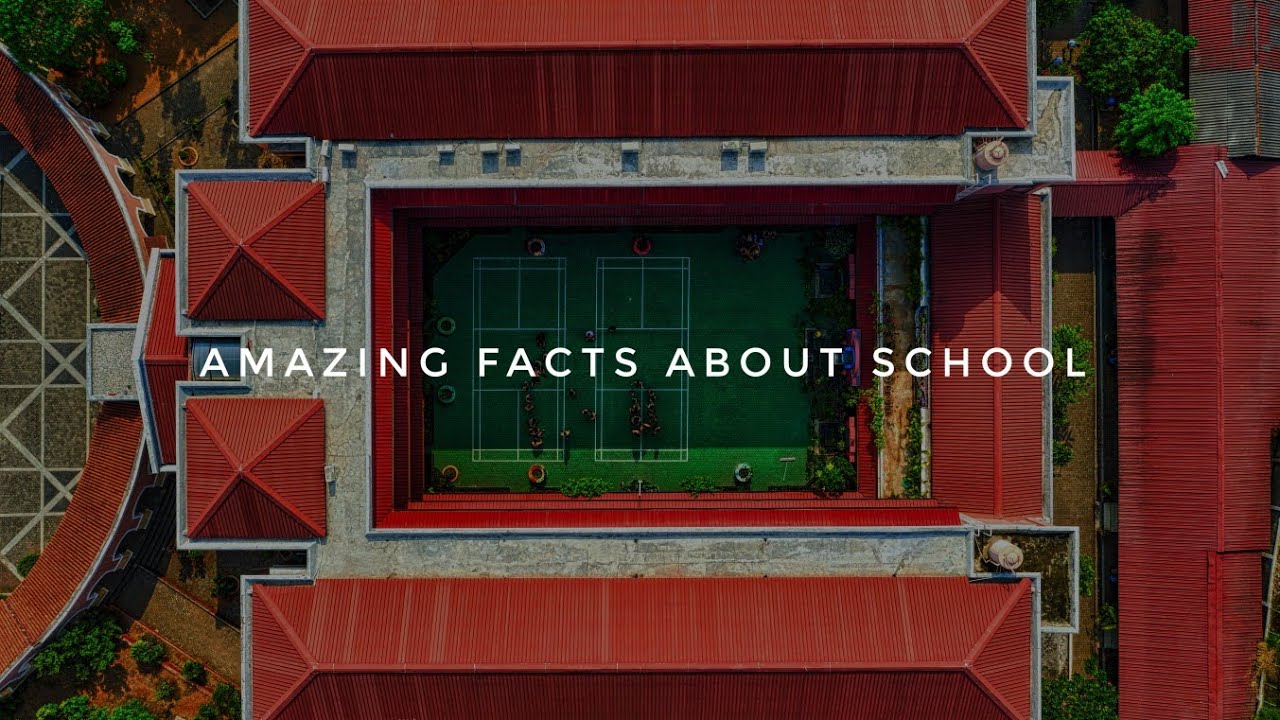 Amazing Facts About School that every student must know
