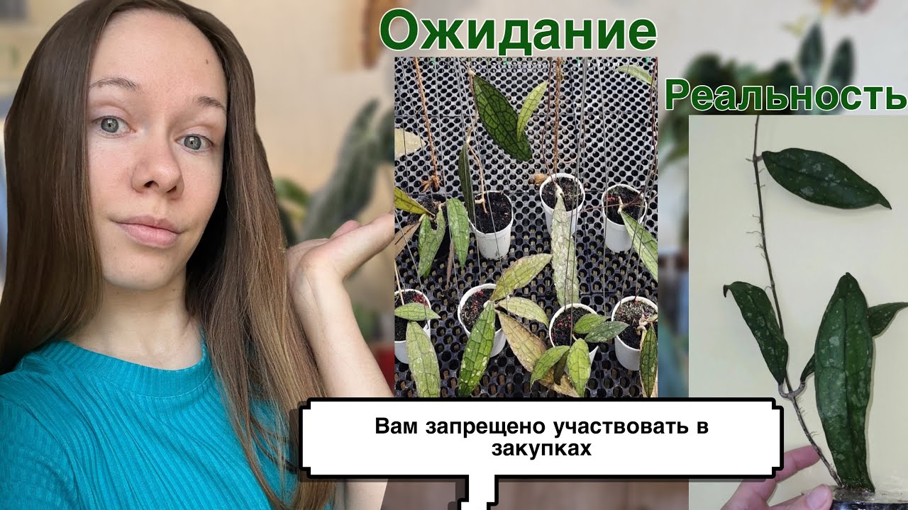 GreenGarden так НЕЛЬЗЯ! Цветочный магазин потерял клиента