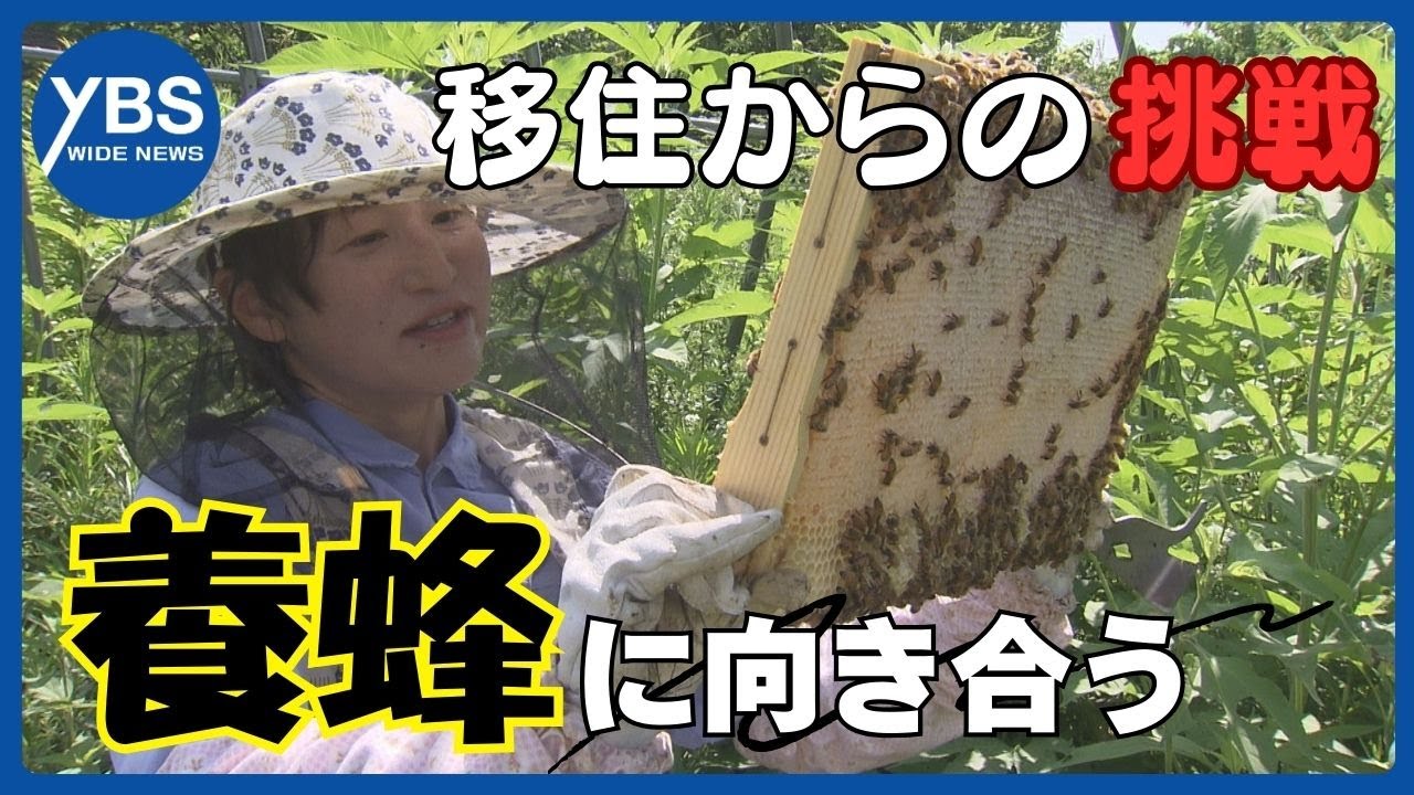 【特集】“養蜂”に魅せられて…東京➡山梨 移住からの挑戦！おいしいハチミツを追求する女性