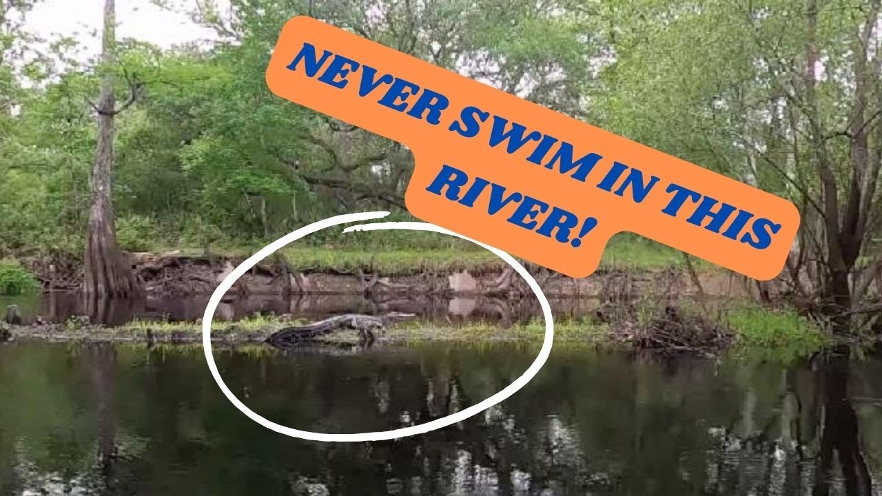 Kayaking The Wild Withlacoochee River