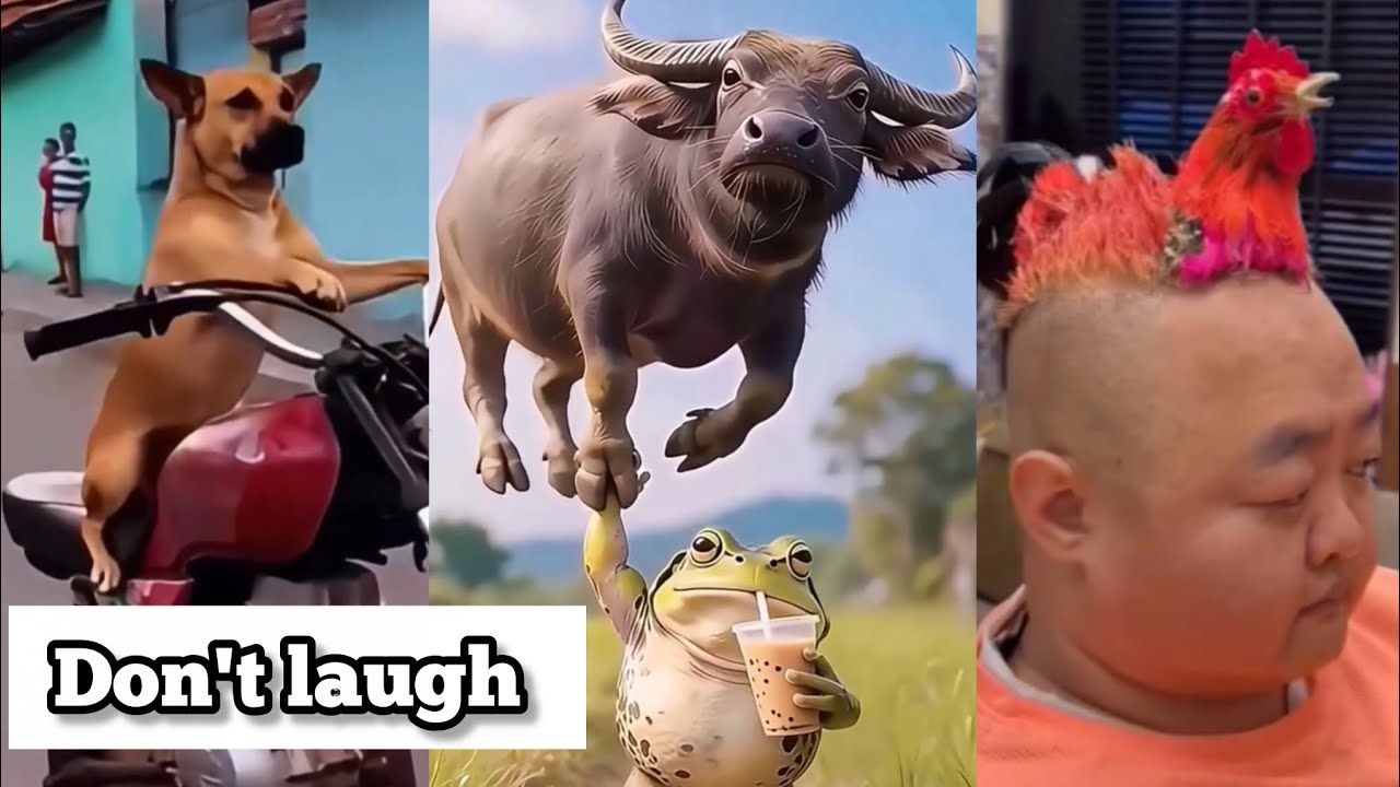 Try Not To Laugh Challenge 😂 | 99% Fail (Funny Compilation 2026)