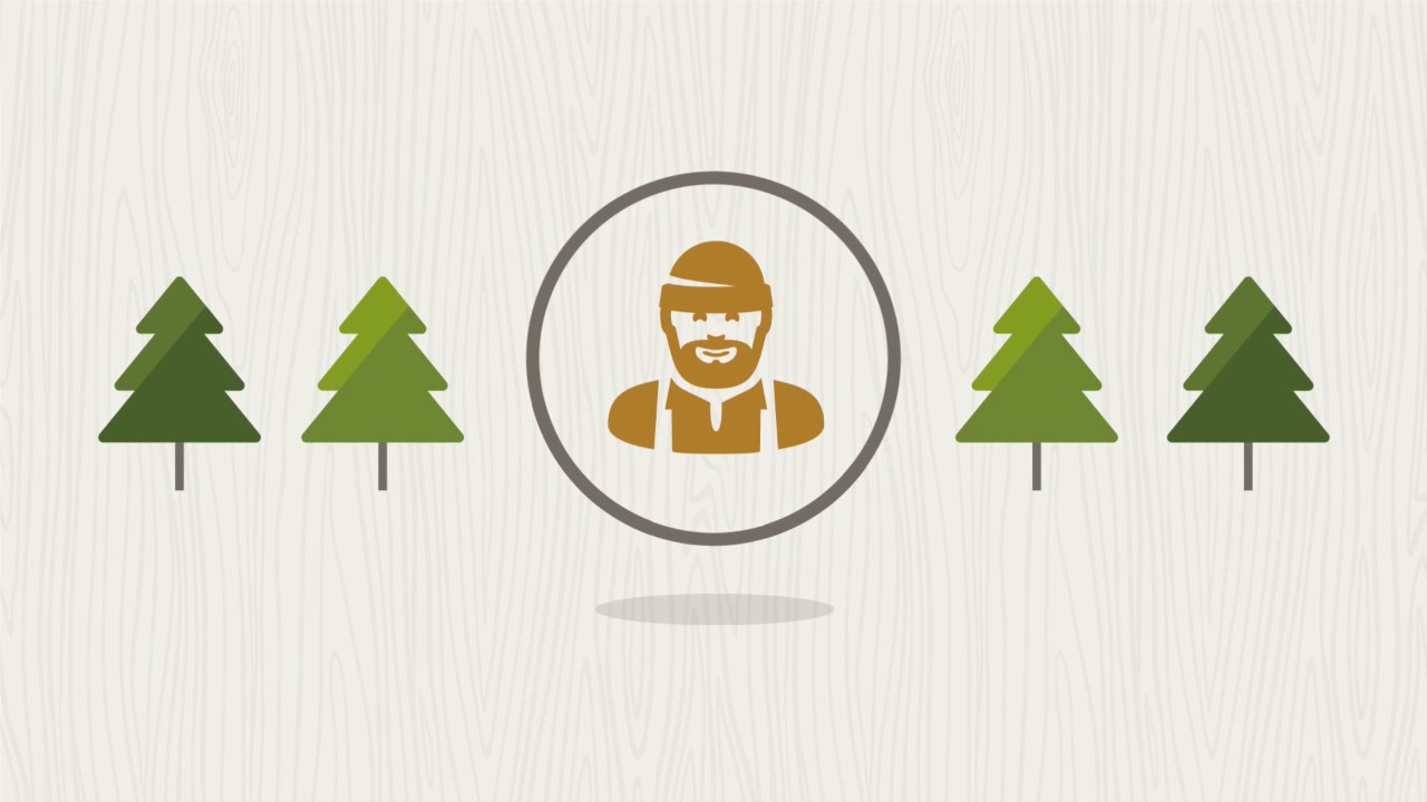 The Wild Side of Forest Operations