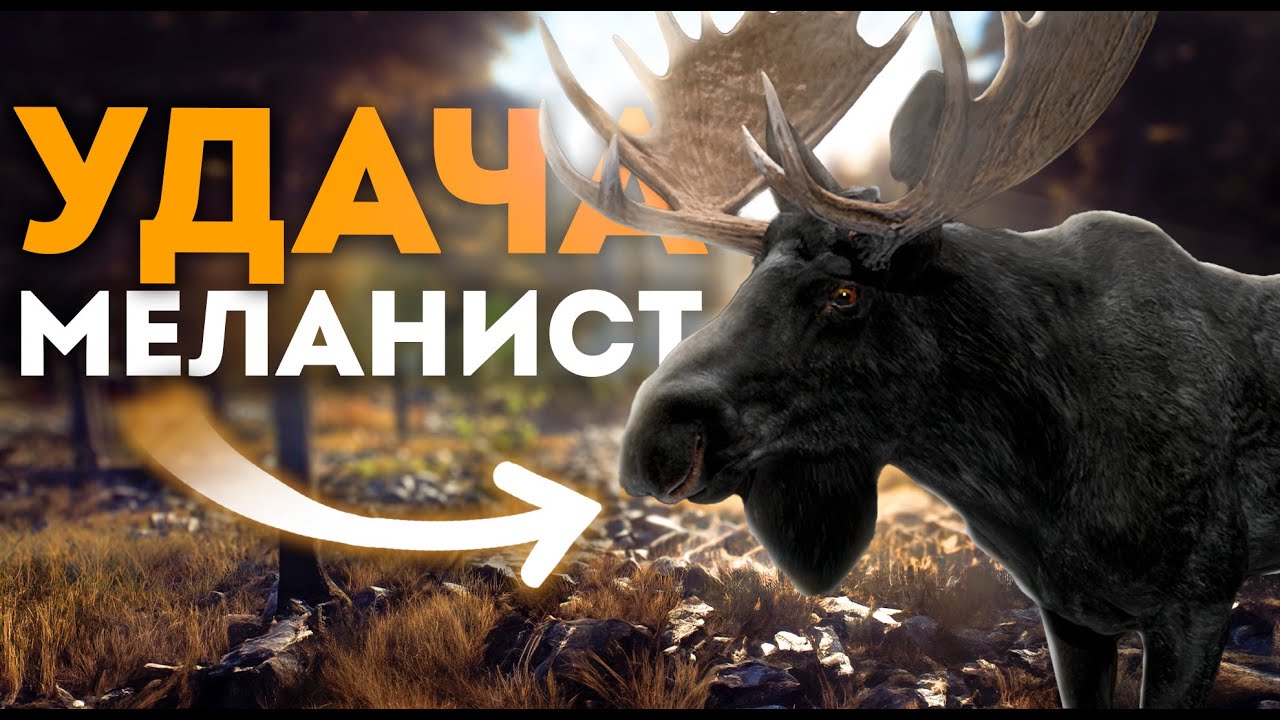 Way Of The Hunter - Я ЭТО СДЕЛАЛ! - Важное обьявление! - Продуктивная охота - Важное обьявление!