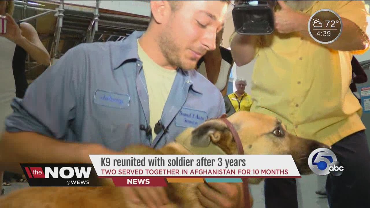 K9, soldier who served together in Afghanistan reunited at Cleveland airport