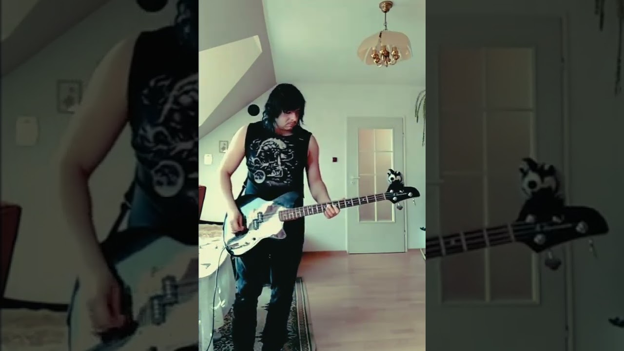 The Cure  The Reason why  bass cover