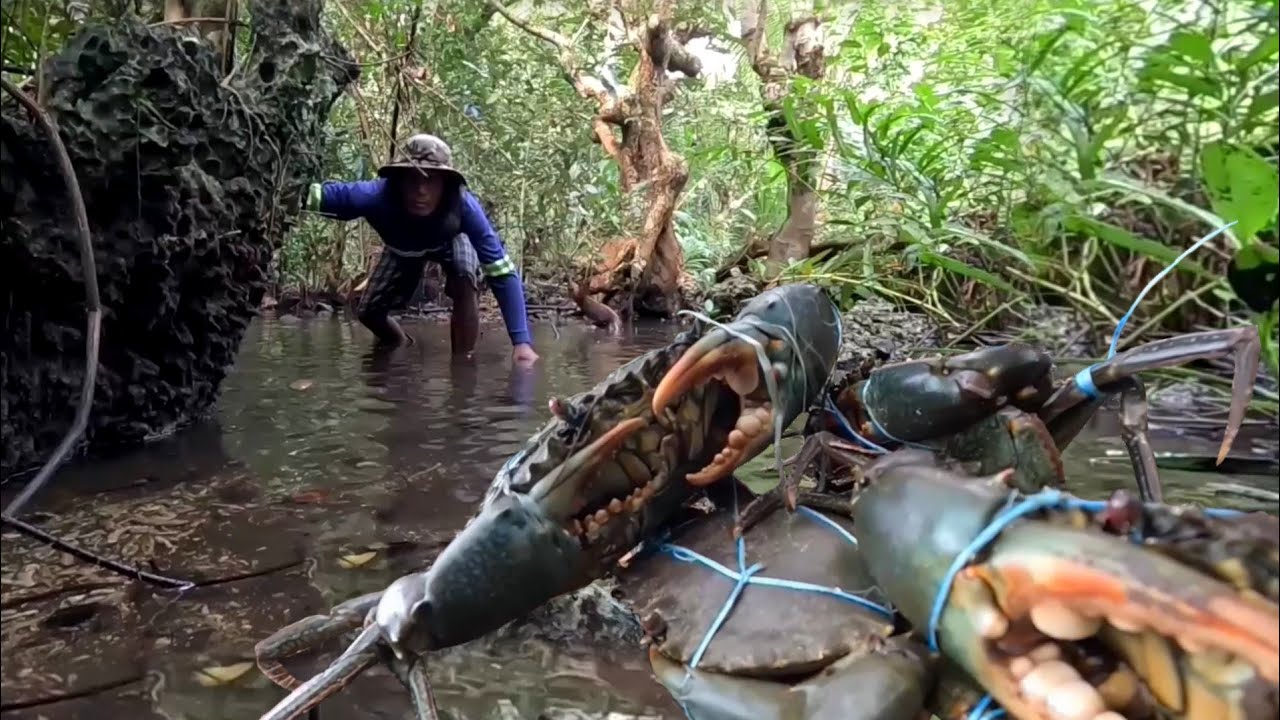 Winasak ng mag asawang alimango ang pain sa pang walong trap