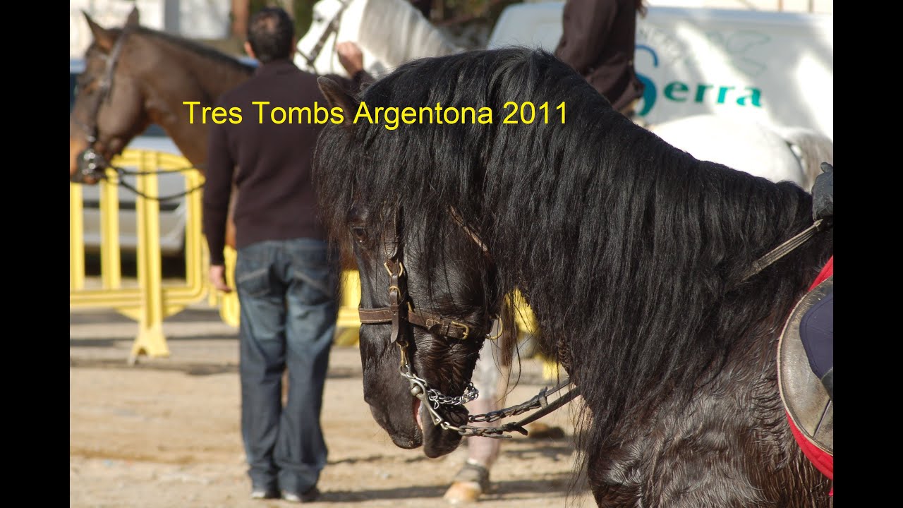 Tres Tombs Argentona 2011
