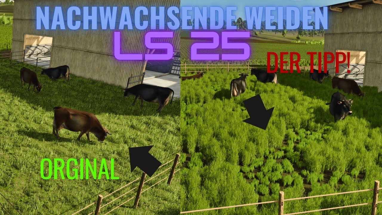 🚜 LS25 BUG FIX: Nachwachsende Weiden endlich gelöst! 🌾🔥