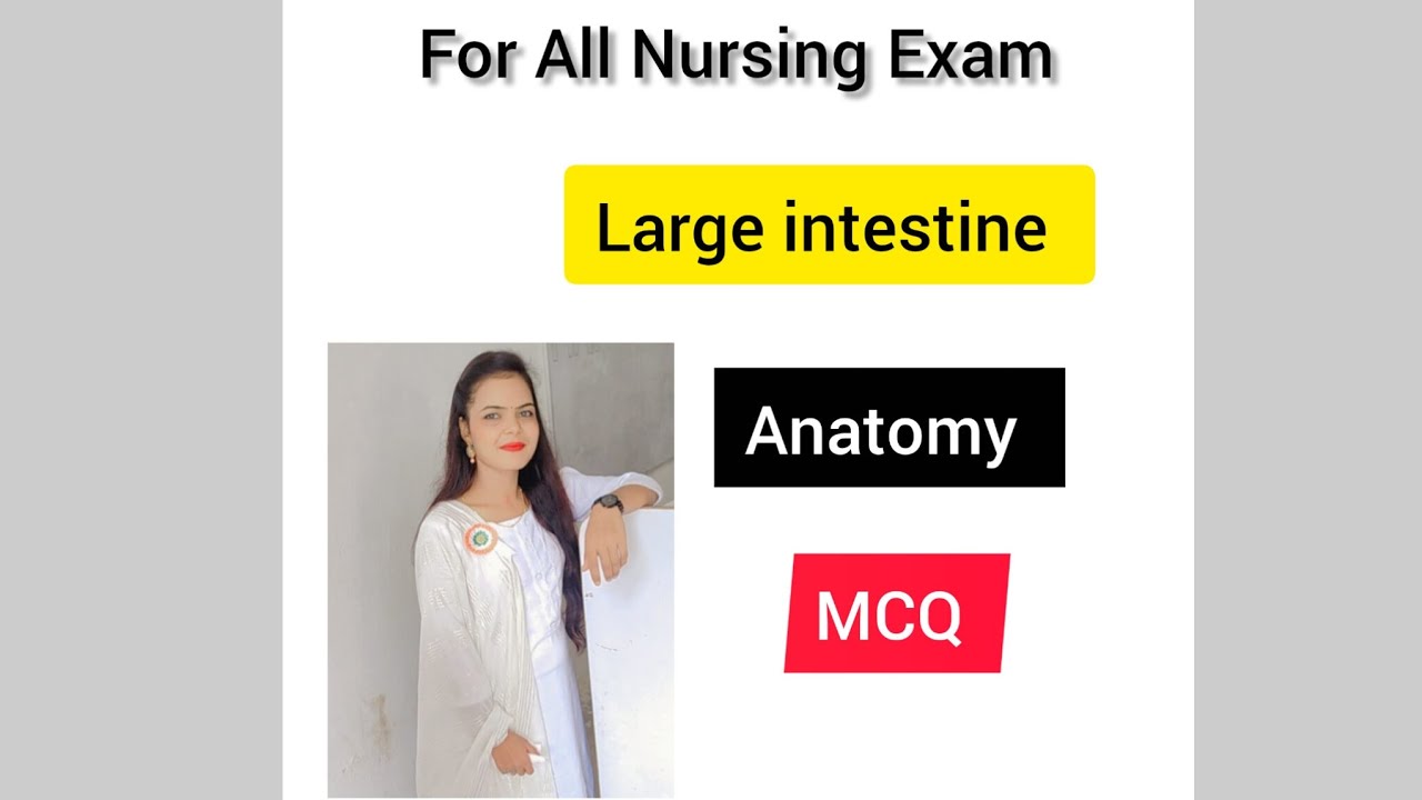 Large intestine anatomy and physiology || MCQ || For All Nursing Exam 