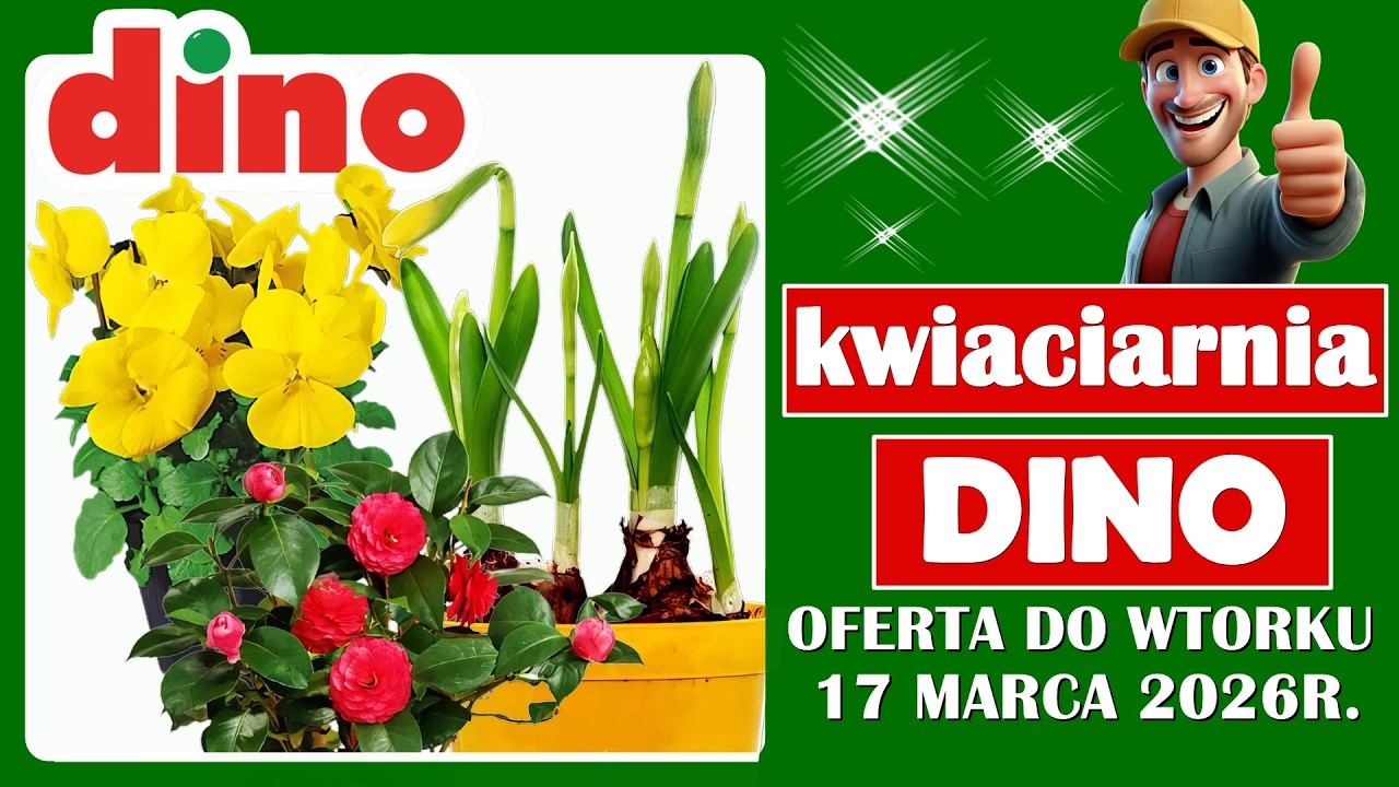 DINO MARKET | Nowa Oferta do Wtorku 17.03.2026 | Tanie Kwiaty w Dino