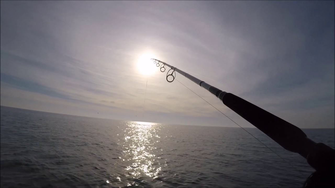 spinning al tonno 2020  da panico