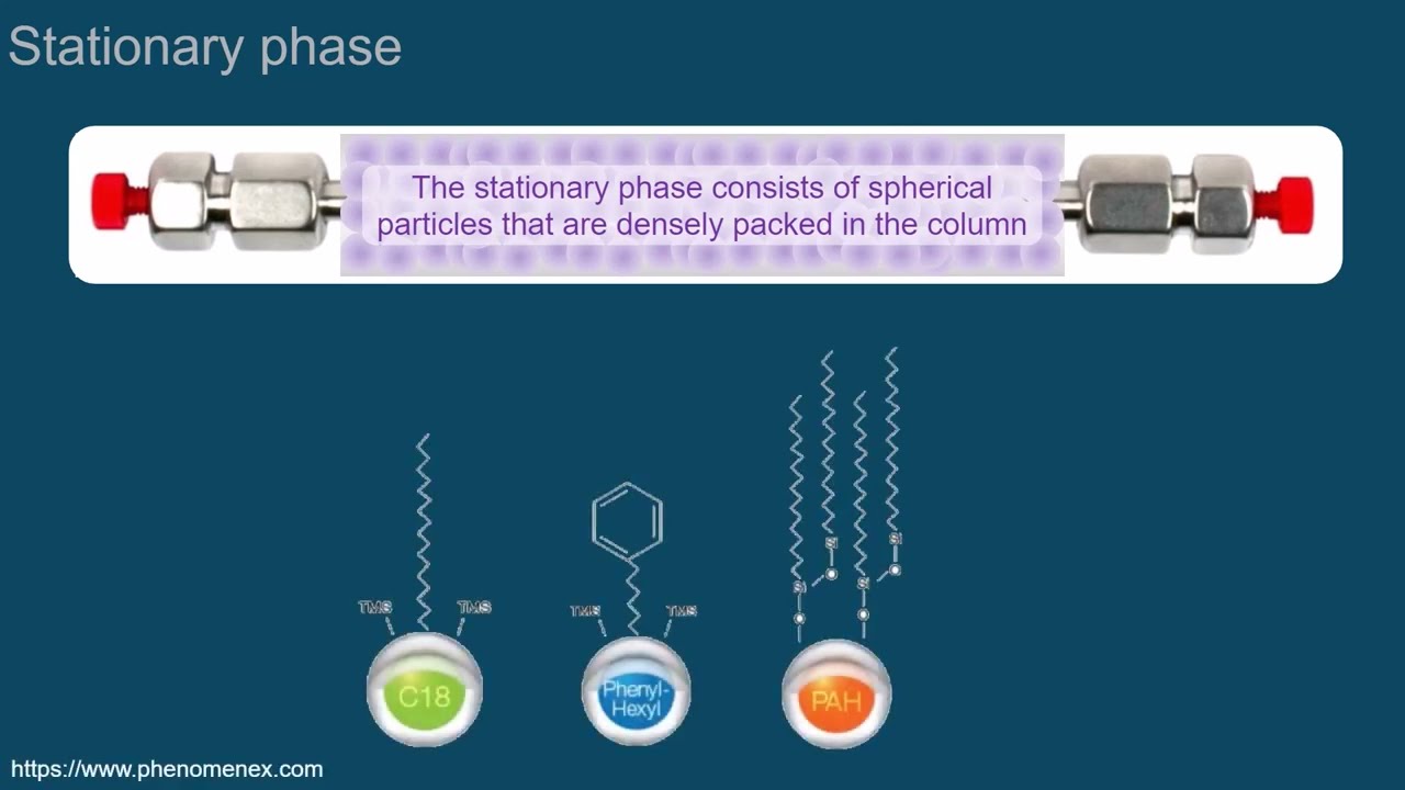 Reversed-phase chromatography - Episode 6 | Introduction to LC-MS/MS