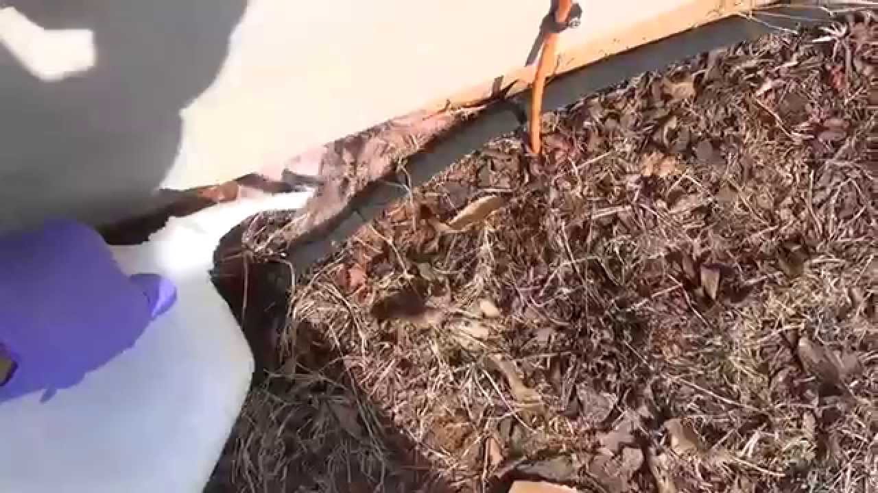 Permanent Fire Ant Killer