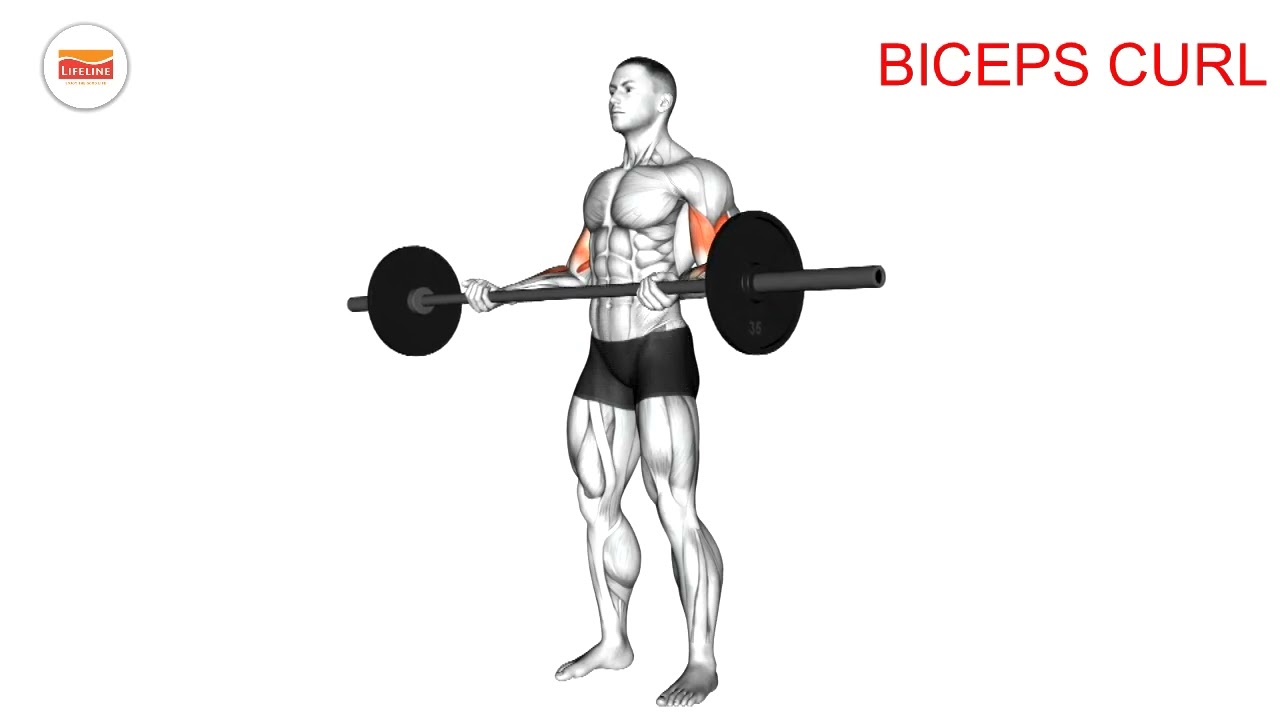 Bicep Curls -Breathe Right