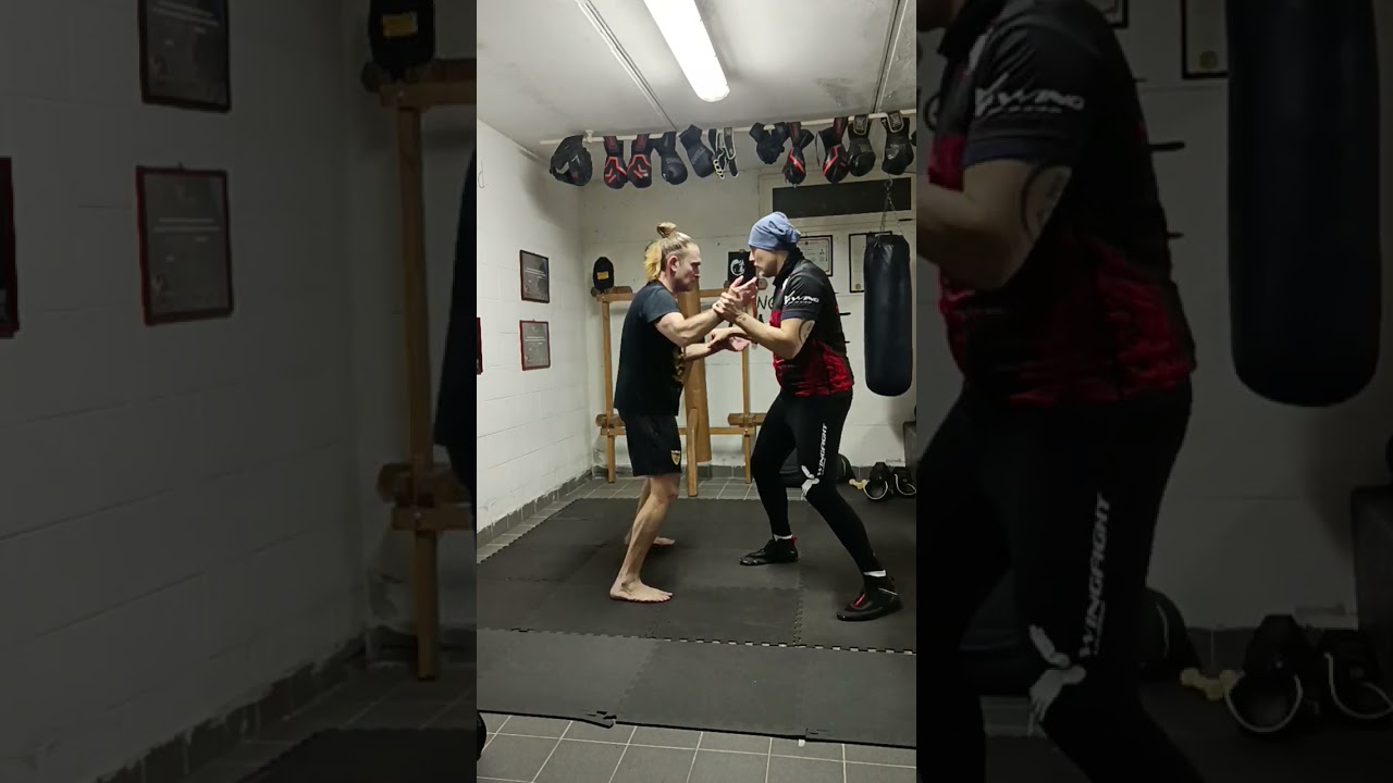 Wing fight garage: concetto di rotazioni nel Chi sao
