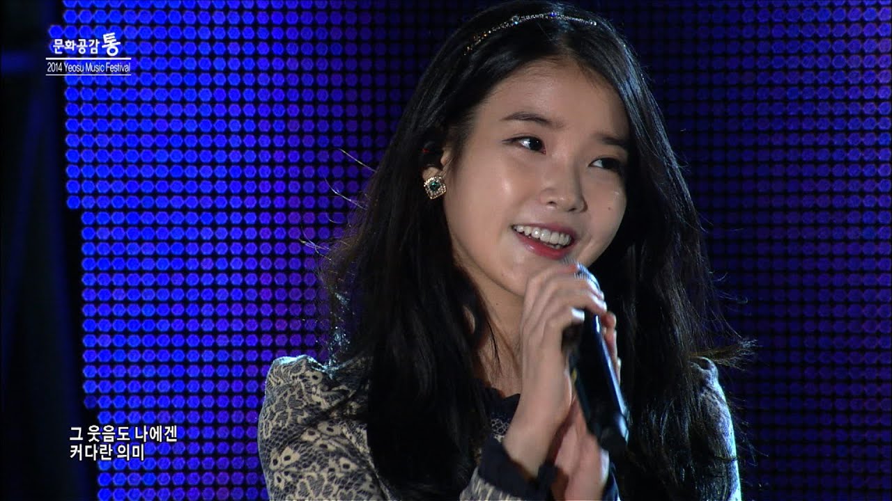 아이유 - 너의 의미 (IU - Meaning of you) Yeosu Music Festival 2014