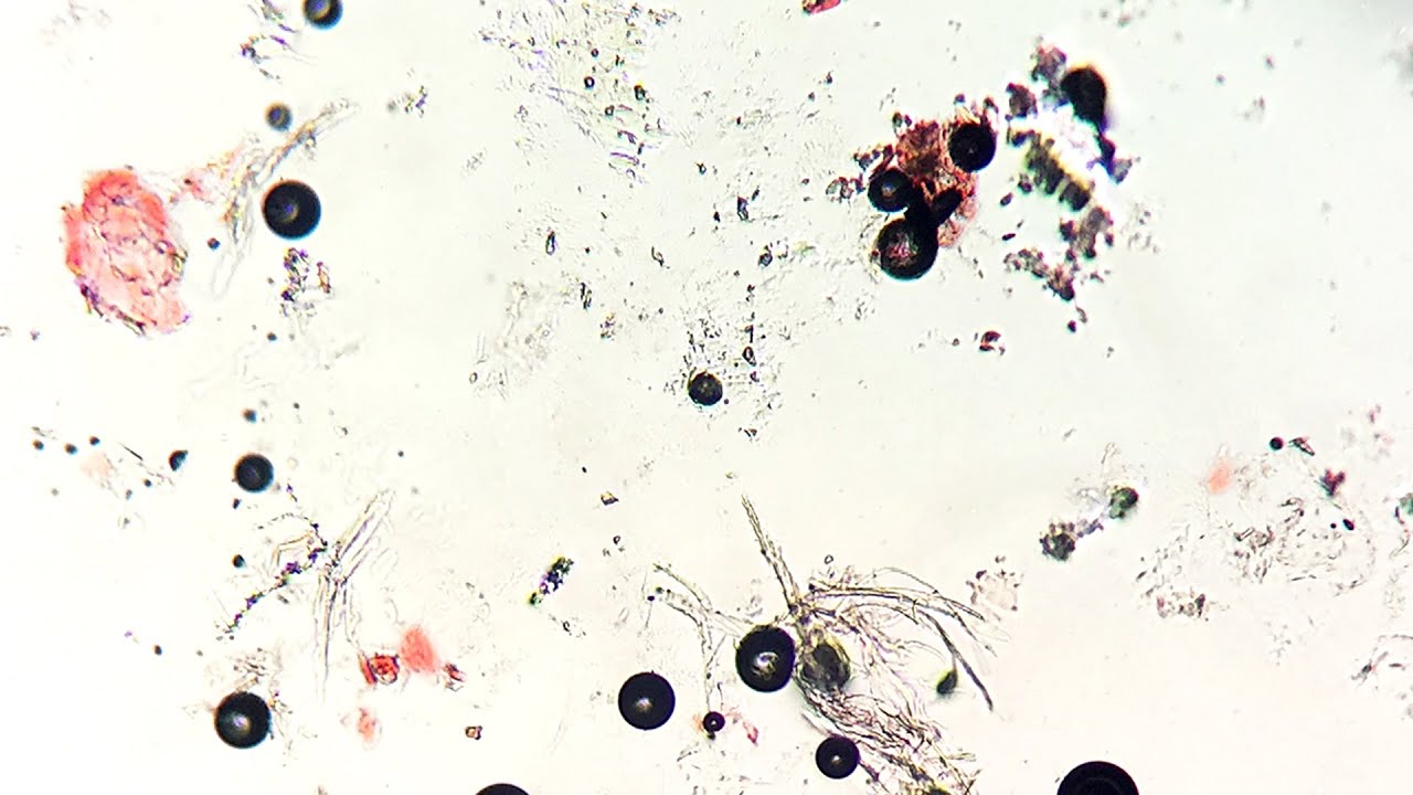 Jesse Baez Tentaciones