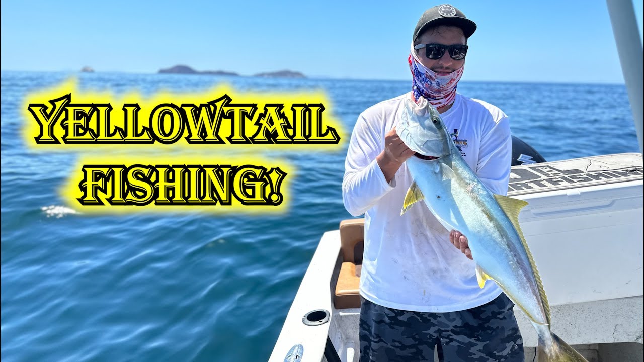 Fishing Bahía de los Ángeles Part 1 (Yellowtail Fishing)