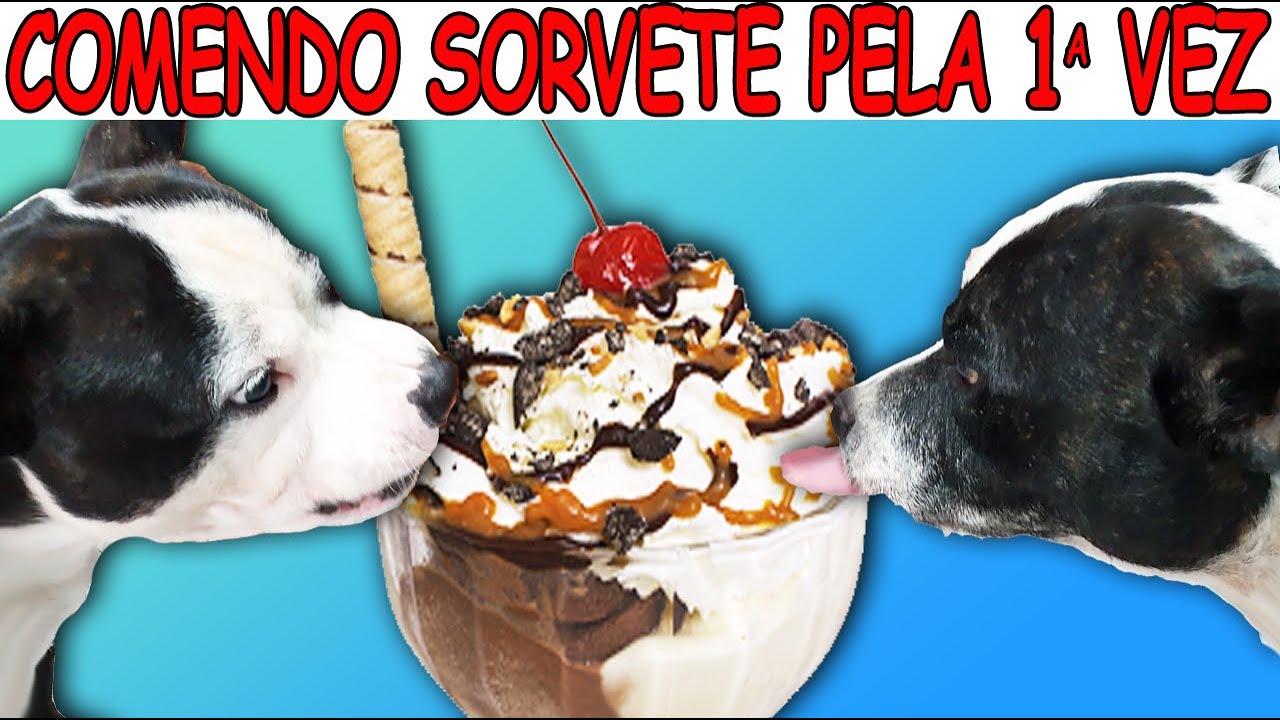 COMENDO SORVETE PELA 1a VEZ