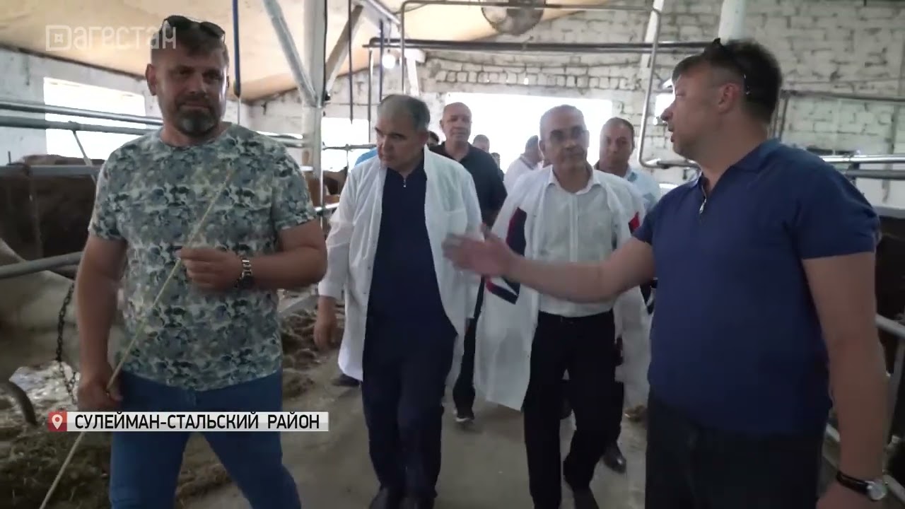 В Сулейман-Стальском районе появится молочно-товарная ферма