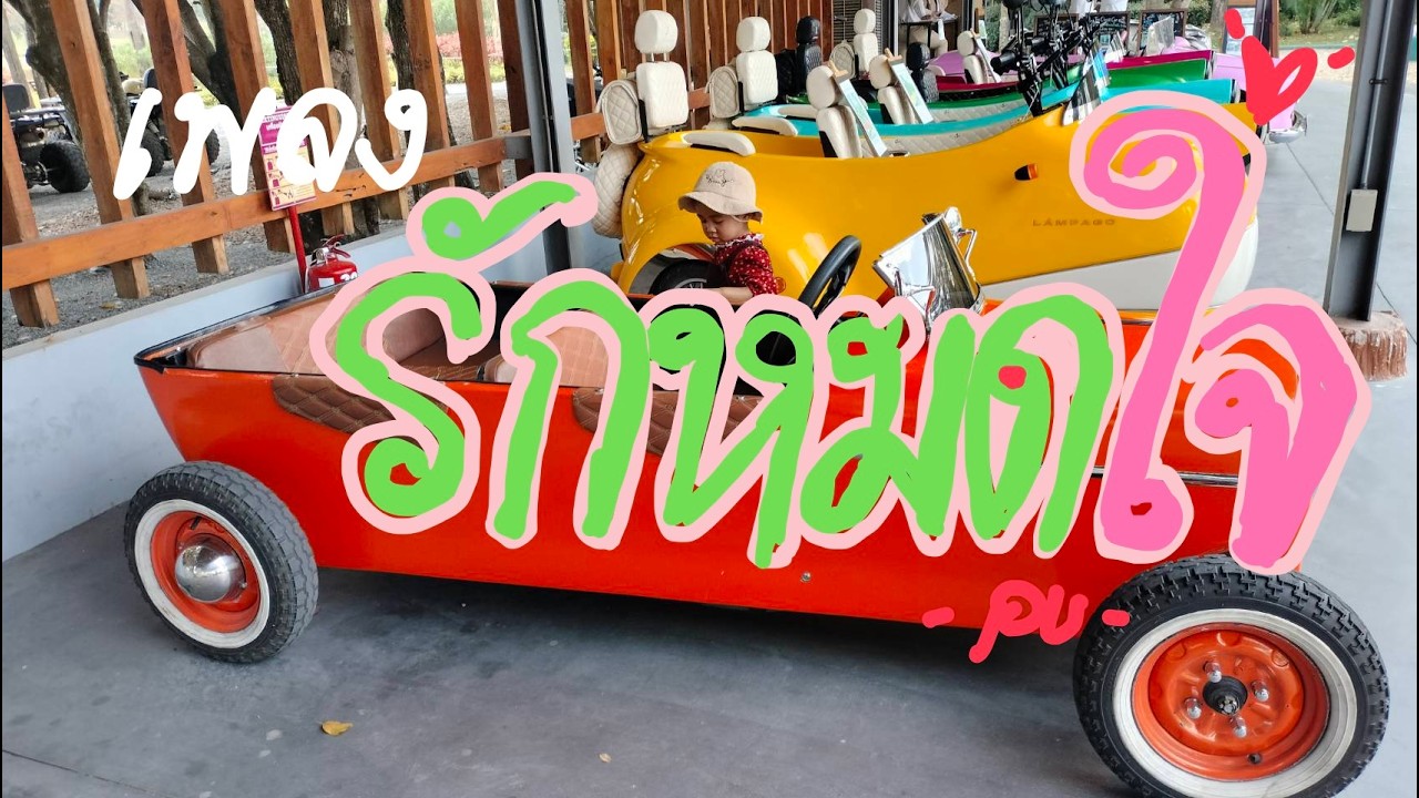 เพลงรักหมดใจ  -  pu